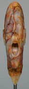BarryBall Screamfrontview